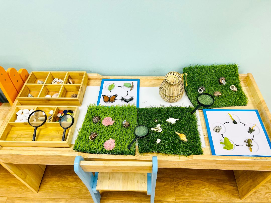 MamNon Froebel7 MamNon Froebel7